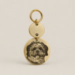 Pet ID Tag