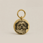 Pet ID Tag